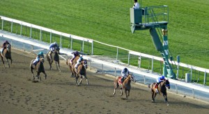 And down the stretch they come