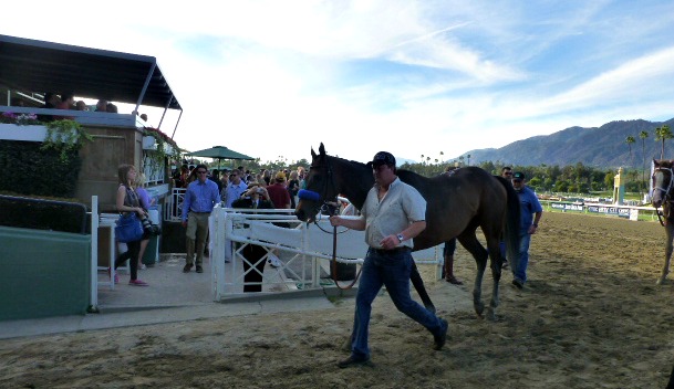 The 3-time Big Cap champ walks back to the barn one happy 'Dude'!